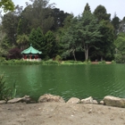 Golden Gate Park Skate & Bike