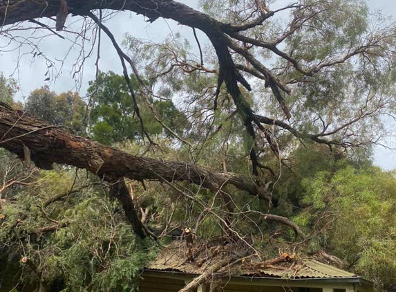 Hilltops Vegetation Services - Young, NSW