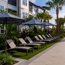 Ascend Citrus Heights - Apartments