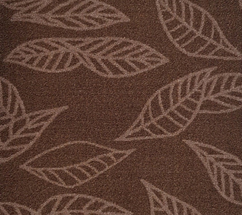Rugs 4 Less - Wayville, SA