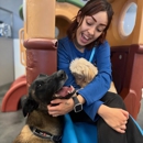 Club K9 - Pet Services