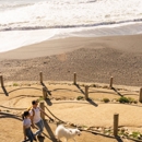 OceanAire Apartment Homes - Apartments