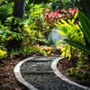 Evergreen Islands gallery