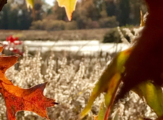 Sandy Ridge Reservation - North Ridgeville, OH