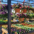 Holly Days Nursery, Garden Center, & Landscaping