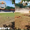 Crawford Stump Grinding gallery