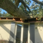 Heaven Sent Tree Service and Recovery