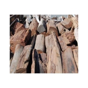 Gallery Image Number 4