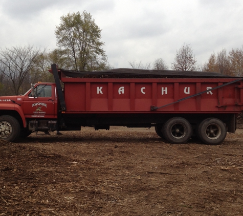 Kachur Tree Service - Niles, MI