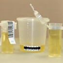 Drug & Alcohol Testing - Drug Testing