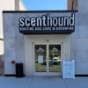 Scenthound Melrose gallery