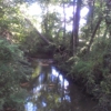 Beaman Park Nature Center gallery