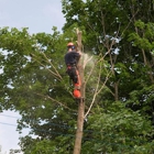 A-TON Tree & Debris