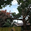 Valid Impressions Tree Service - Tree Service