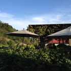 La Casa Narcisi Winery