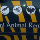 Miami Animal Removal - Animal Removal Services