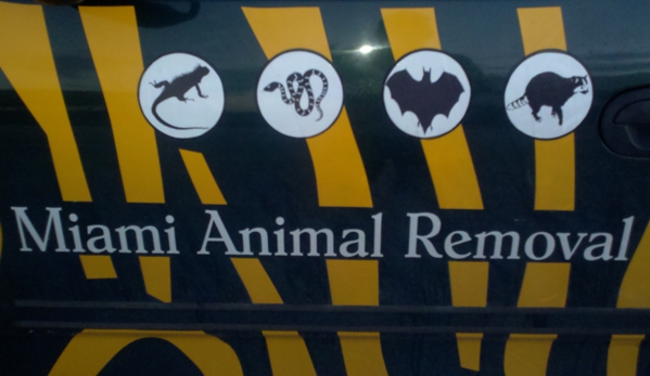 Miami Animal Removal