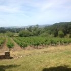 Bartholomew Park Winery