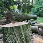 ArborPro Tree Experts LLC