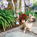 Invisible Fence of Central Alabama - Pet Specialty Services