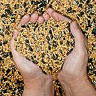 Valentine Plains Seeds And Grains - Valentine Plains, QLD