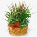 Phillip's Flowers & Gifts - Delivery Service