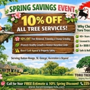 Toro Tree Experts, LLC. - Tree Service