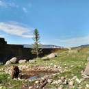 Montana Grizzly Encounter - Petting Zoos