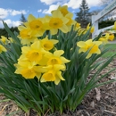 Heasley's Nursery Inc - Garden Centers