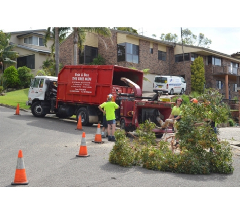 Bob and Ben the Tree Men - Kirrawee, NSW