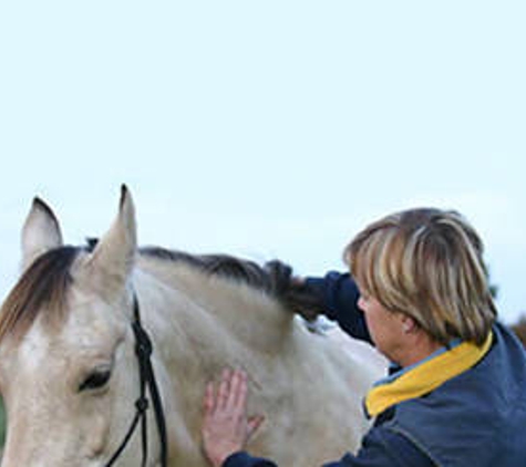 Latrobe Veterinary Group - Traralgon, VIC