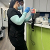 Odessa Dental Assistant School gallery