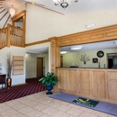 Quality Inn - Motels