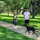 Chill Out Dog Training - Pet Training