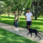 Chill Out Dog Training