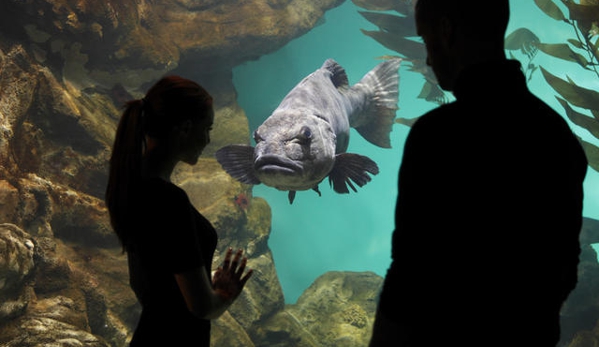 California Academy of Sciences - San Francisco, CA