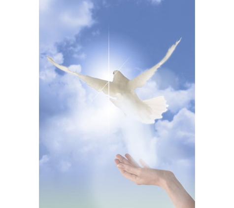 Gundagai Regional Funerals - Gundagai, NSW