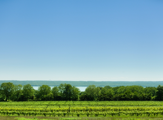 Seneca Lake Wine Trail