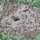 901 Pest Control
