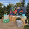 The Christmas Tree lot at Moon Valley Nurseries - Phoenix gallery