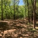 Beck Tree Service - Tree Service