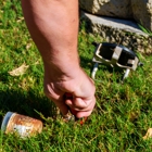 Pest Magic