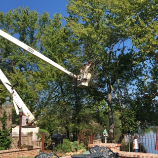 Dixieland Tree Service - Huntsville, AL. It’s a tight fit on a small lot but they know their stuff!