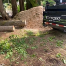 Earthworks Tree Service - Arborists