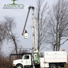 Andrew's Arboriculture