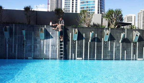 Poolsurf Renovations