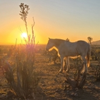 Double R Guest Ranch