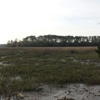 Skidaway Island State Park gallery