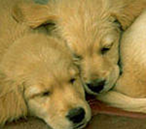 Melton Veterinary Clinic - Melton, VIC