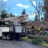 Flynn Tree Services gallery